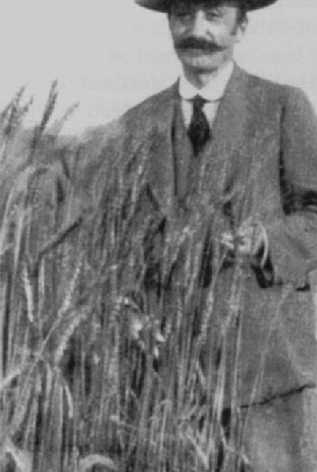 Nazareno Strampelli