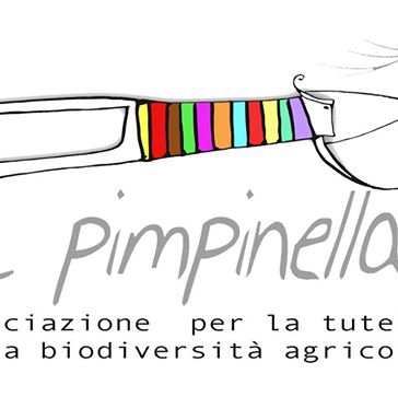 pimpinella logo