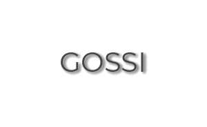 GOSSI Logo
