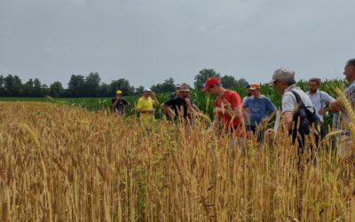 Pubblicata la Visioneper l’Agricoltura UE