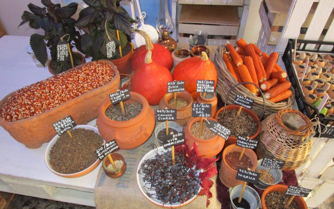 Seminare diversità in città