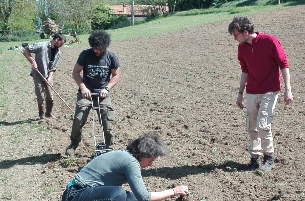 La trasversalità delle scelte agricole