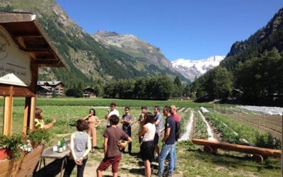 RESTART 2021 Campus per Giovani Aziende sull’Appennino