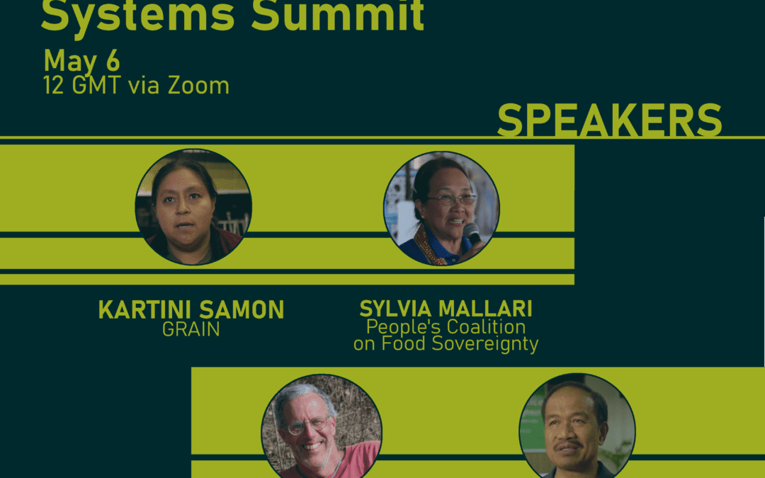 “The Future of Seeds” nel prossimo UN Food Systems Summit