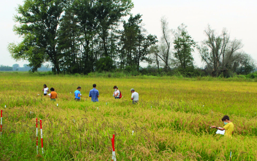 Nuovo statuto, nuove frontiere