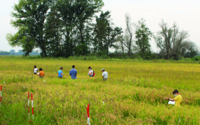 Nuovo statuto, nuove frontiere