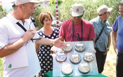 Lettera congiunta alla Commissione Europea