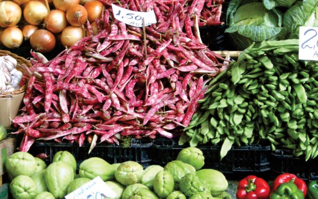 Cambiamo la PAC per aiutare a cambiare produzione e consumo