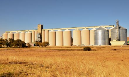 Chi governa la ristrutturazione del sistema alimentare globale