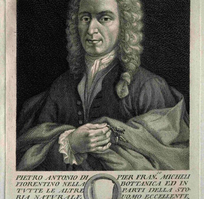 Pier Antonio Micheli