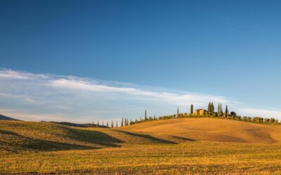 23 Associazioni scrivono al Ministro Lollobrigida