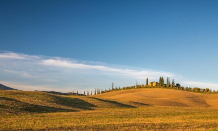 23 Associazioni scrivono al Ministro Lollobrigida