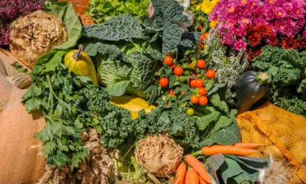 La ricerca agricola non capisce il valore della diversità