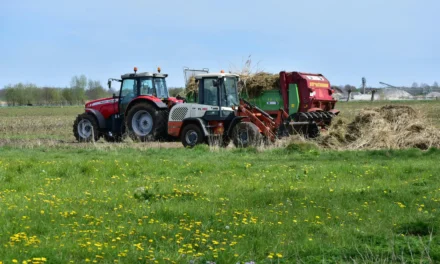 Nel campo minato dell’agricoltura europea