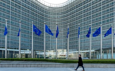 Legislazione sementiera (regole per la commercializzazione delle sementi)