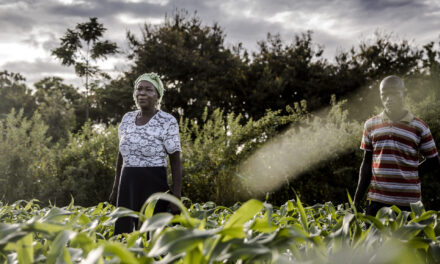 In Kenya la Corte difende i semi tradizionali: svolta per la sovranità alimentare