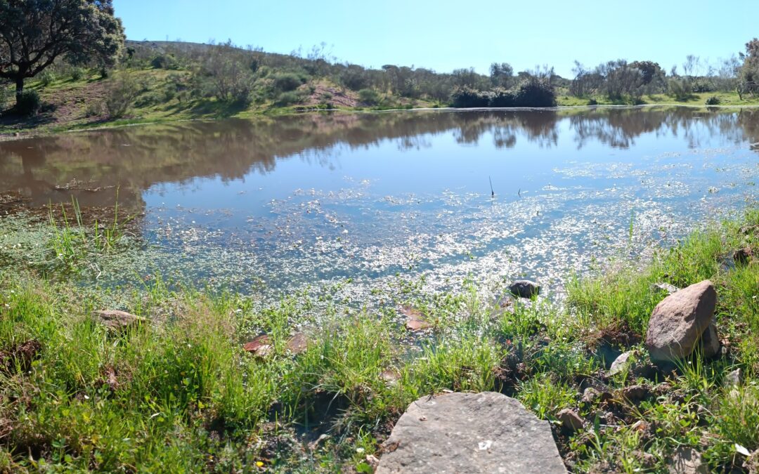 I cugini selvatici delle colture, una promessa per il futuro!