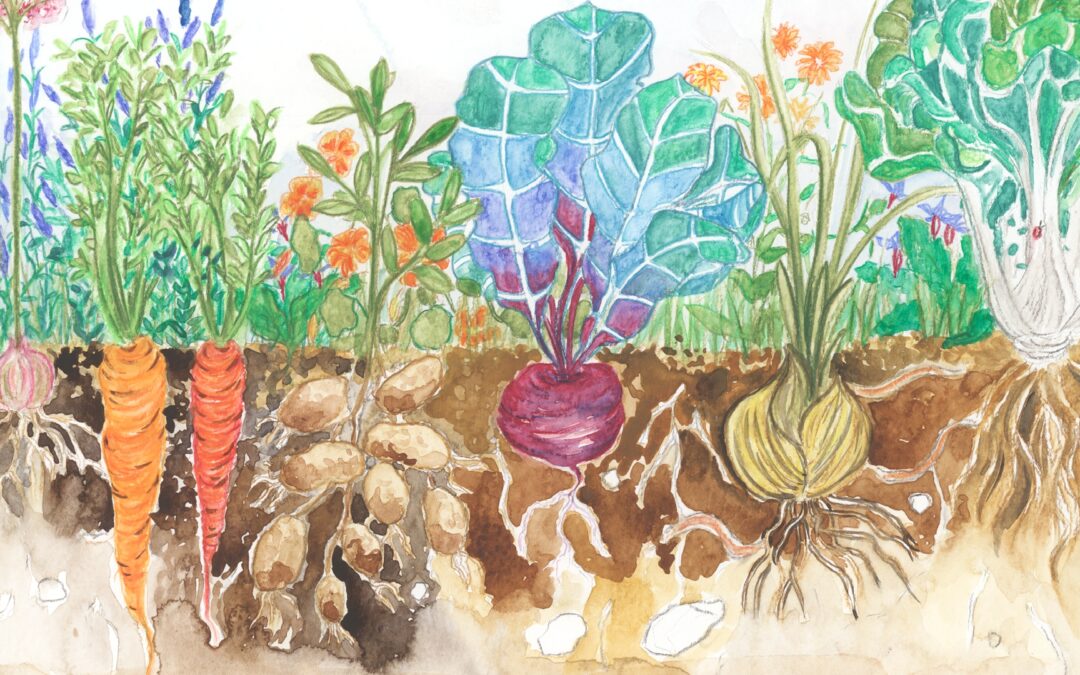 Finalmente approvate le regole per la notifica del MEB!