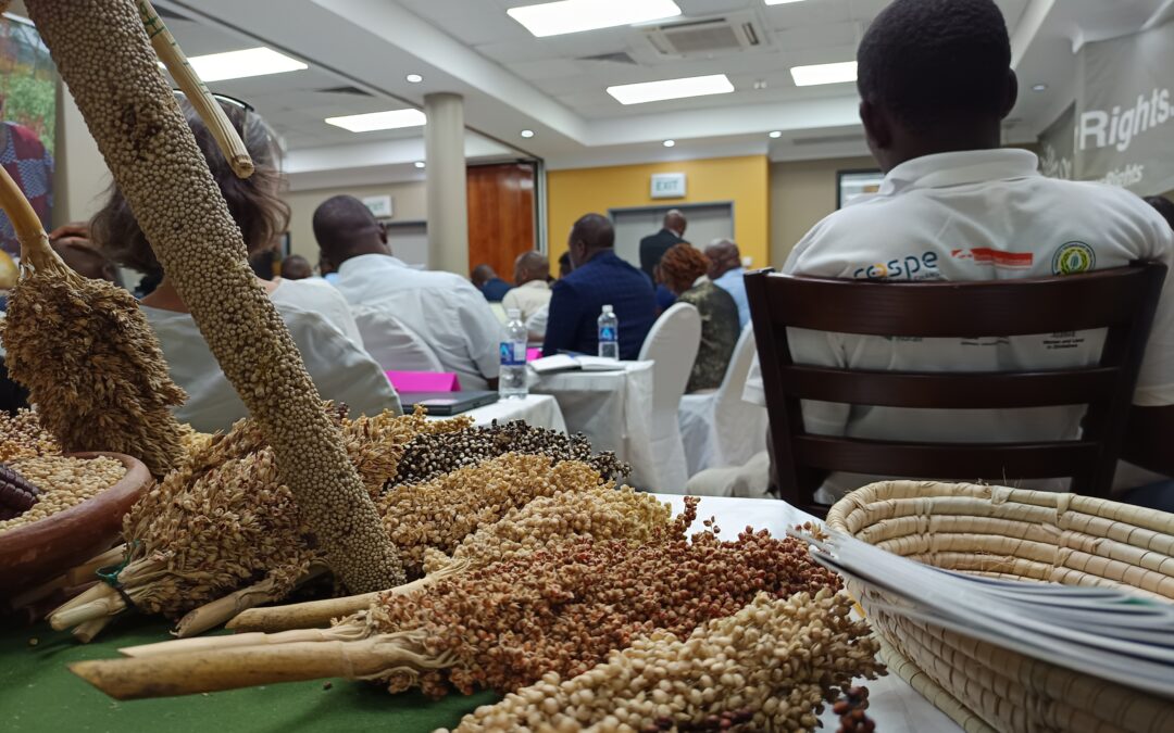 L’impatto dell’Europa sul Sud Globale