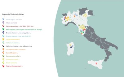 Varietà ortive da conservazione: passato, presente e futuro