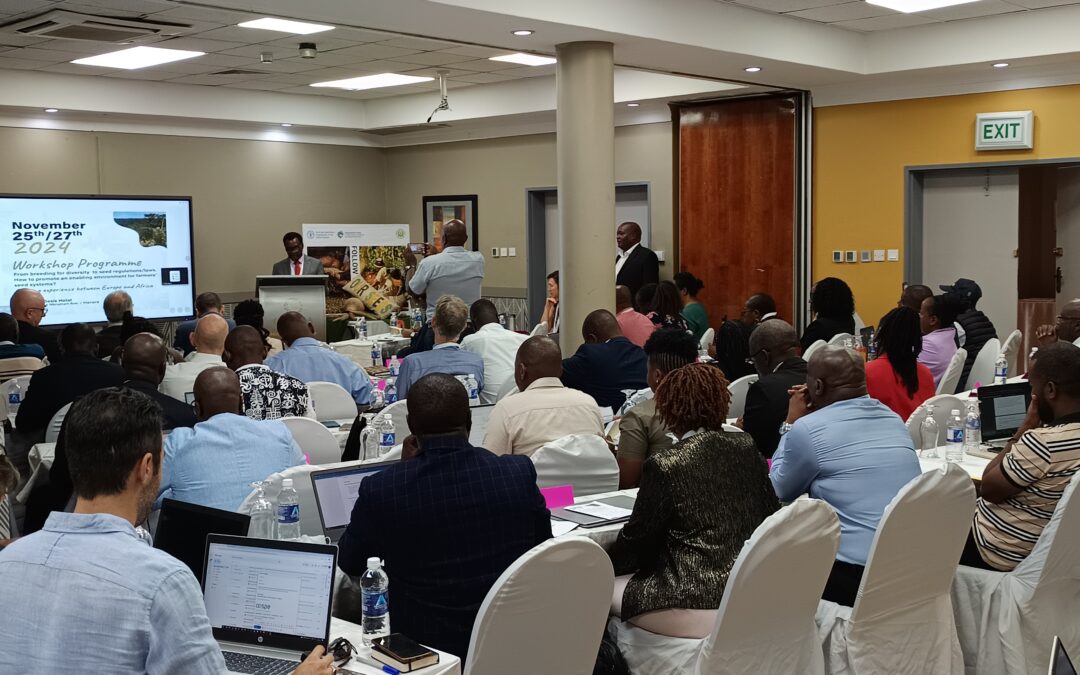 Come dotarsi di legislazioni adatte ai diversi contesti?