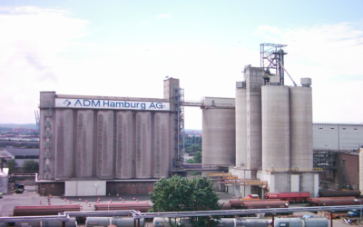 Chi controlla che cosa mangiamo
