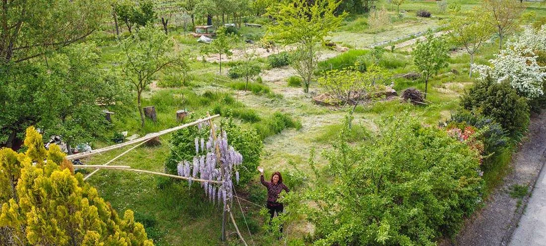 Bosco di Ogigia