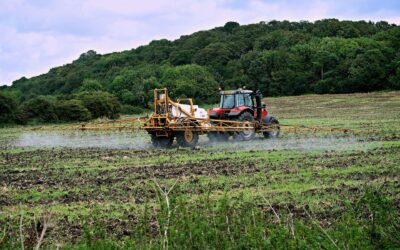 Il futuro dell’agricoltura e del sistema alimentare europeo: una visione che manca di ambizione e lungimiranza.