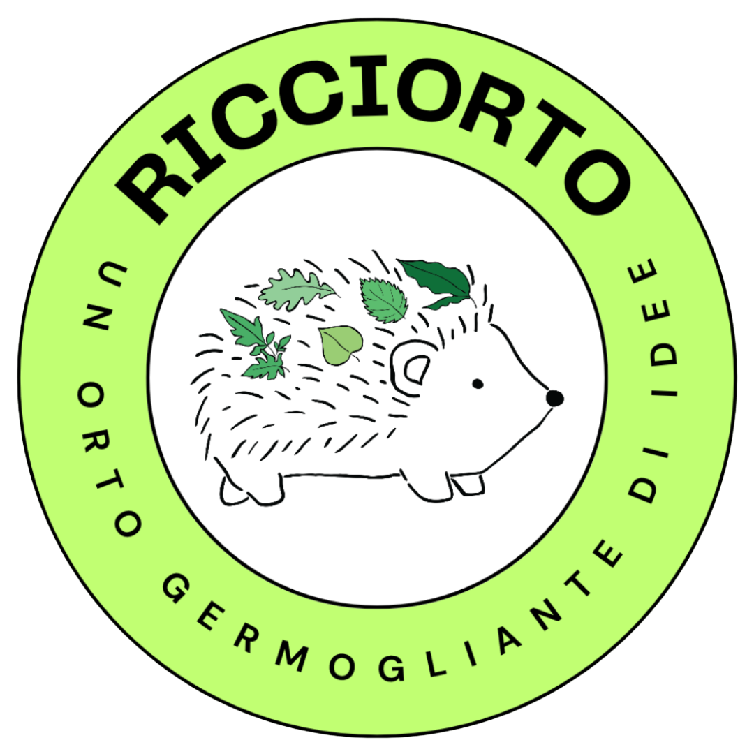 Ricciorto