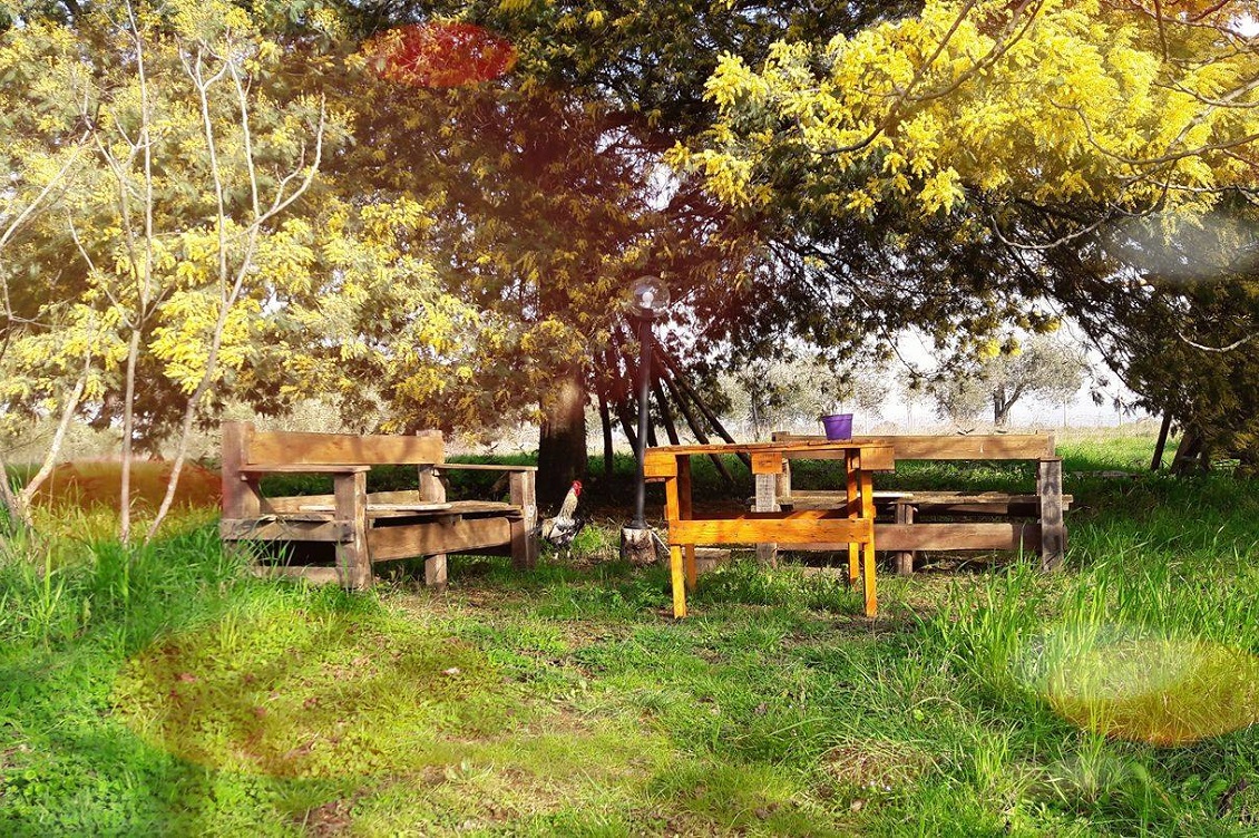 Il Giardino di Torriciola