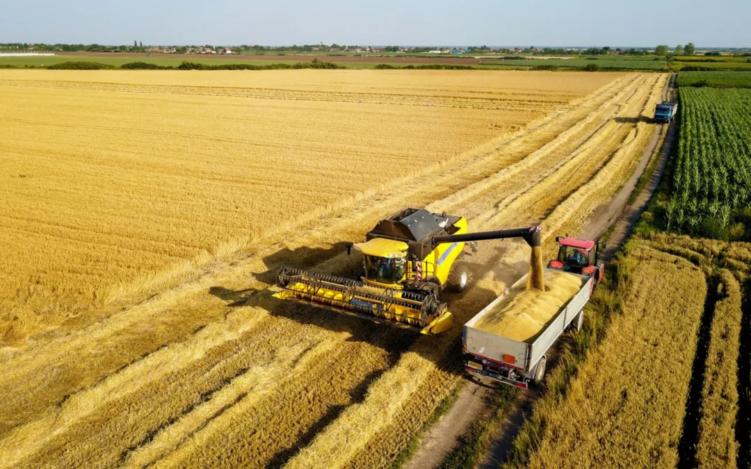I dinosauri dell’agricoltura