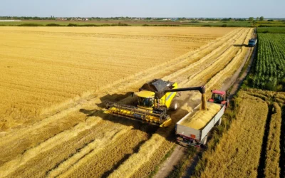 I dinosauri dell’agricoltura