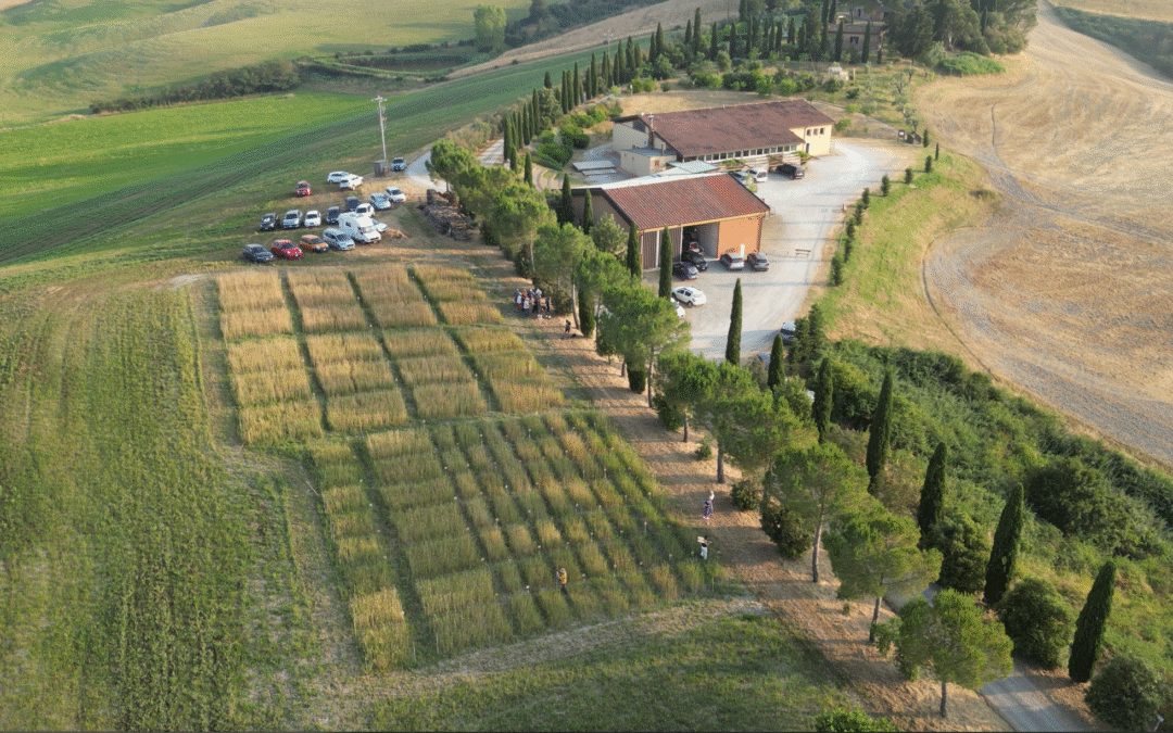 Coltiviamo la diversità 2025, l’incontro annuale all’azienda agricola Floriddia