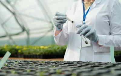 Non c’è spazio per il dialogo sui nuovi Ogm