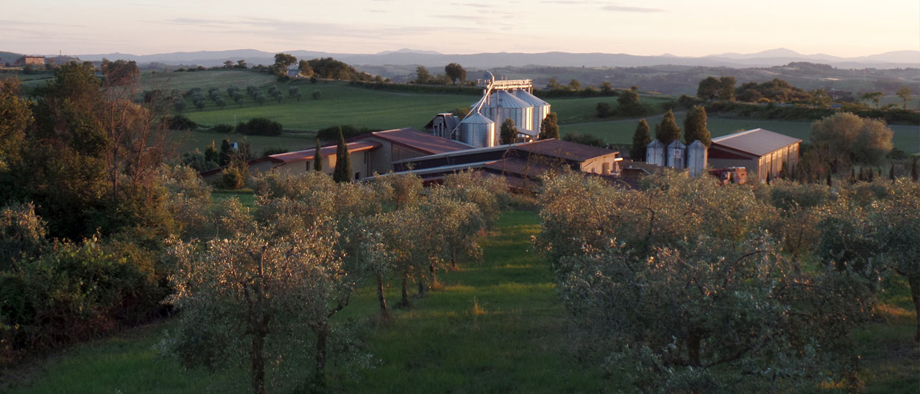 Azienda Agricola Podere Pereto