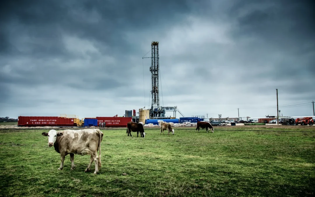 Il petrolio che continuiamo a mangiare