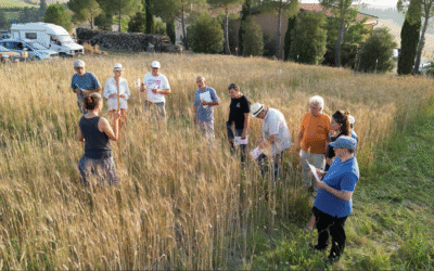 Verso un nuovo paradigma: il miglioramento genetico partecipativo nella transizione agroecologica