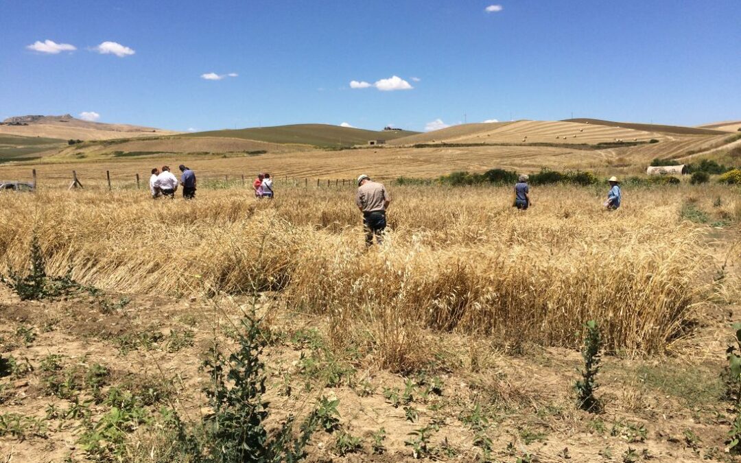 Democratizzare la scienza