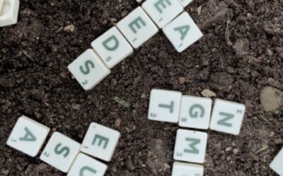 Nuovi OGM: al via la deregolamentazione in Europa