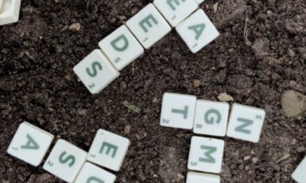 Nuovi OGM: al via la deregolamentazione in Europa