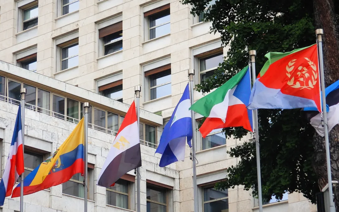 Un nuovo protagonismo della società civile nella Fao