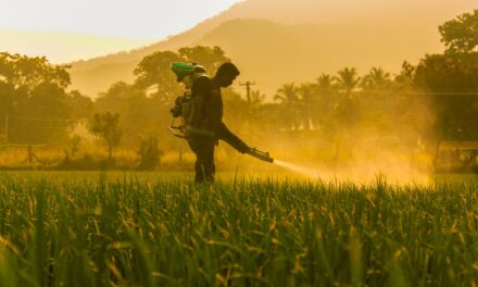 MERCOSUR & UE Un accordo di libera circolazione dei veleni