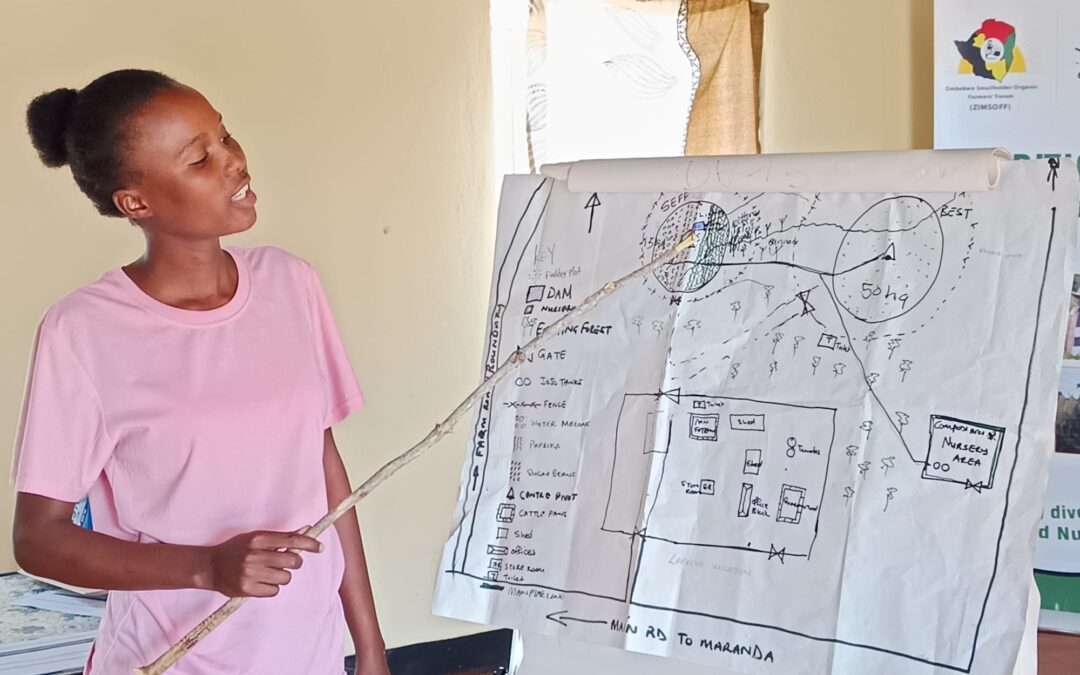 Sementi, biodiversità e politiche pubbliche: dallo Zimbabwe una traiettoria Africa–Europa