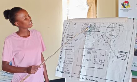 Sementi, biodiversità e politiche pubbliche: dallo Zimbabwe una traiettoria Africa–Europa