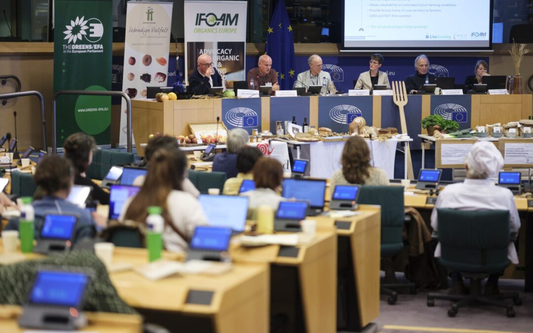 Riforma del materiale riproduttivo vegetale (PRM): agricoltori, piccoli allevatori e organizzazioni per la diversità delle sementi chiedono ai deputati europei di difendere l’agrobiodiversità 