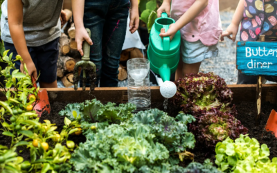 Nuovi Ogm e brevetti. L’anno della resistenza