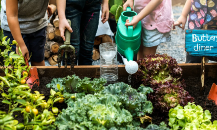 Nuovi Ogm e brevetti. L’anno della resistenza