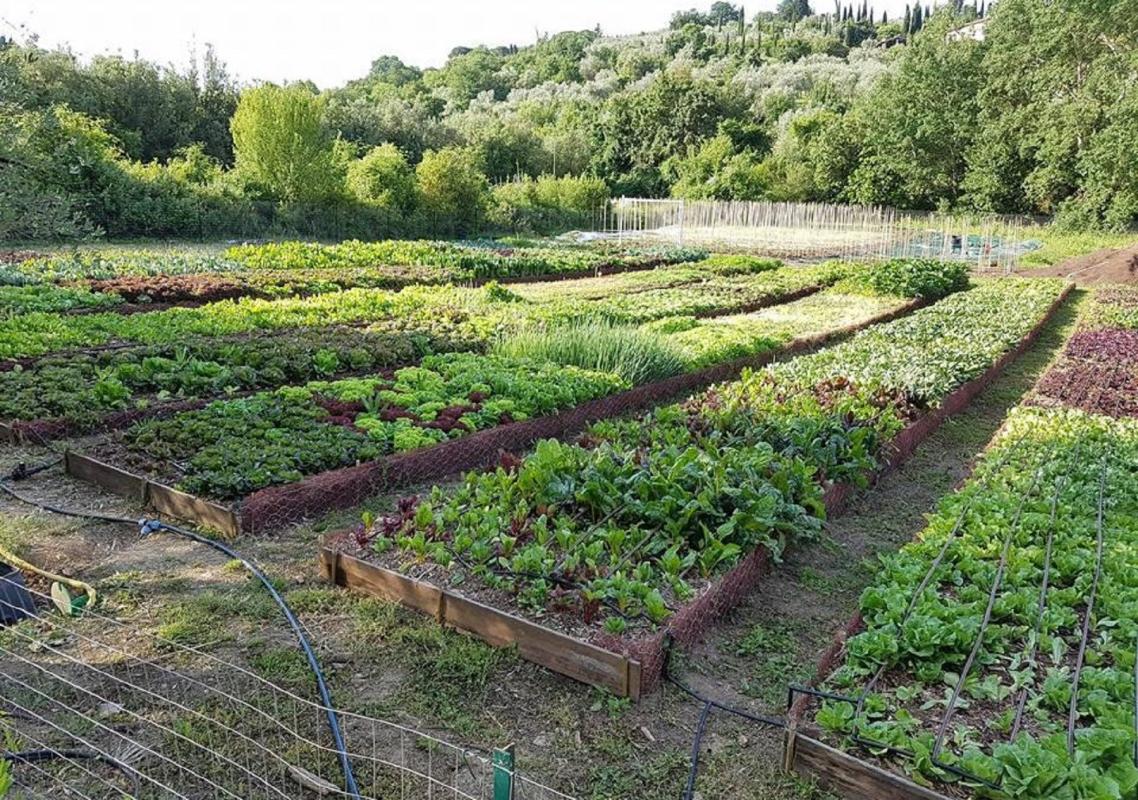 Azienda Agricola Ortobioattivo