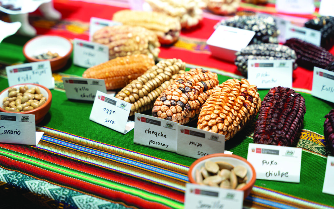 Falliti i negoziati per un accesso più equo alla biodiversità agricola vegetale 