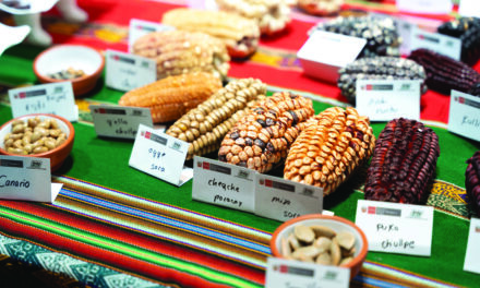 Falliti i negoziati per un accesso più equo alla biodiversità agricola vegetale 